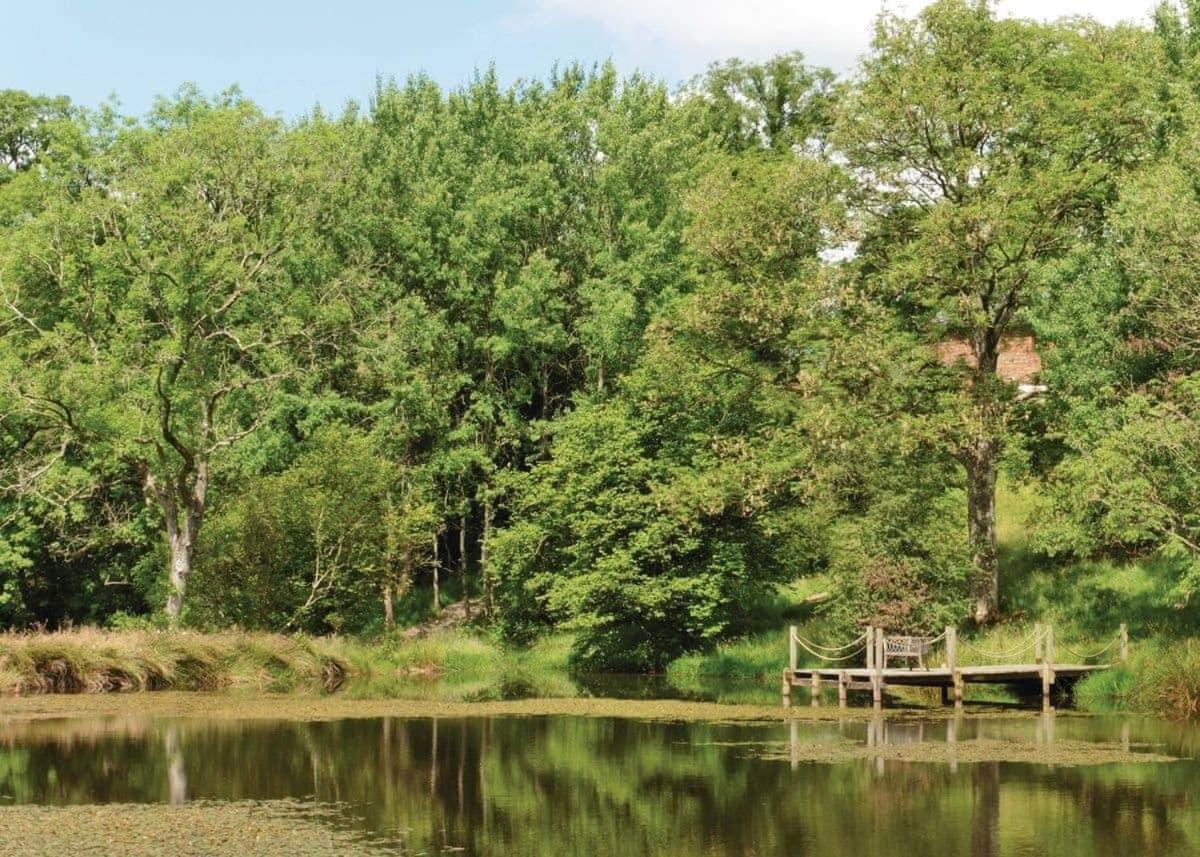 Mill Meadow Lodges Llanbister エクステリア 写真