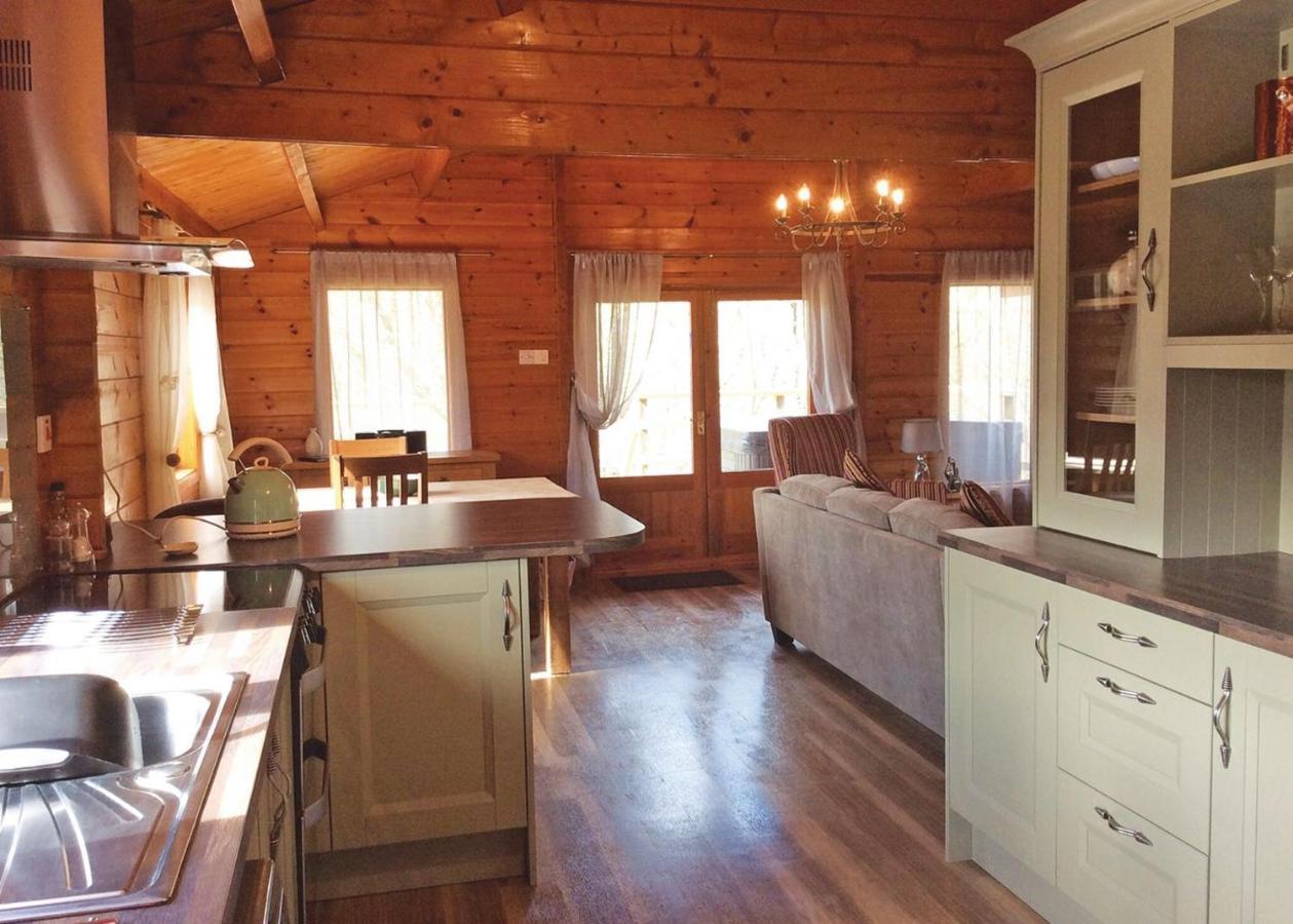 Mill Meadow Lodges Llanbister エクステリア 写真